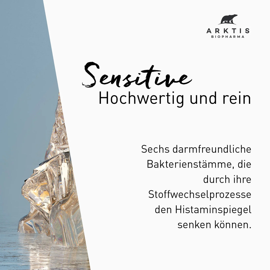 Arktis Arktibiotic Sensitive | Pulver 90g