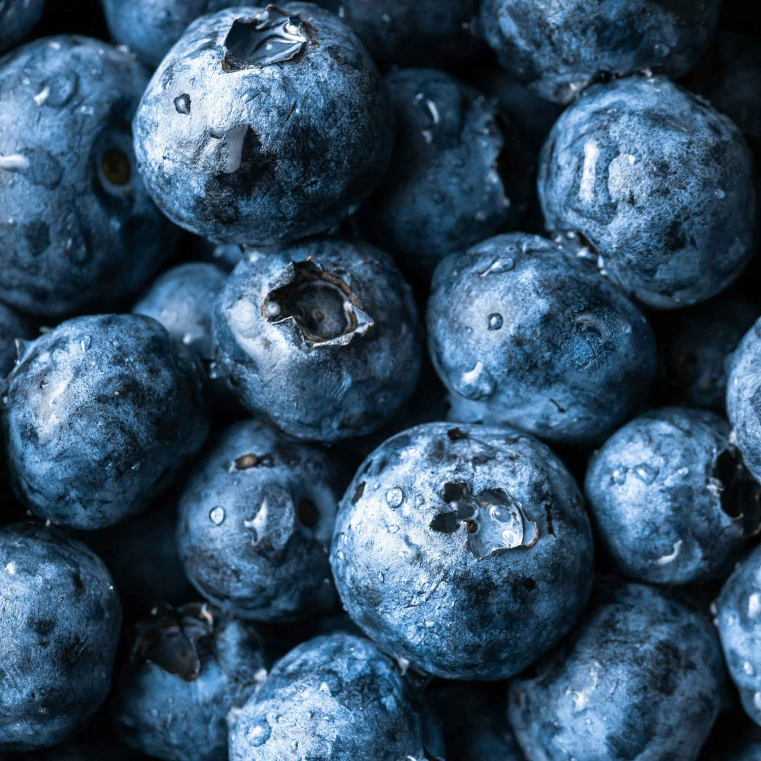 Daily Berries | 75g