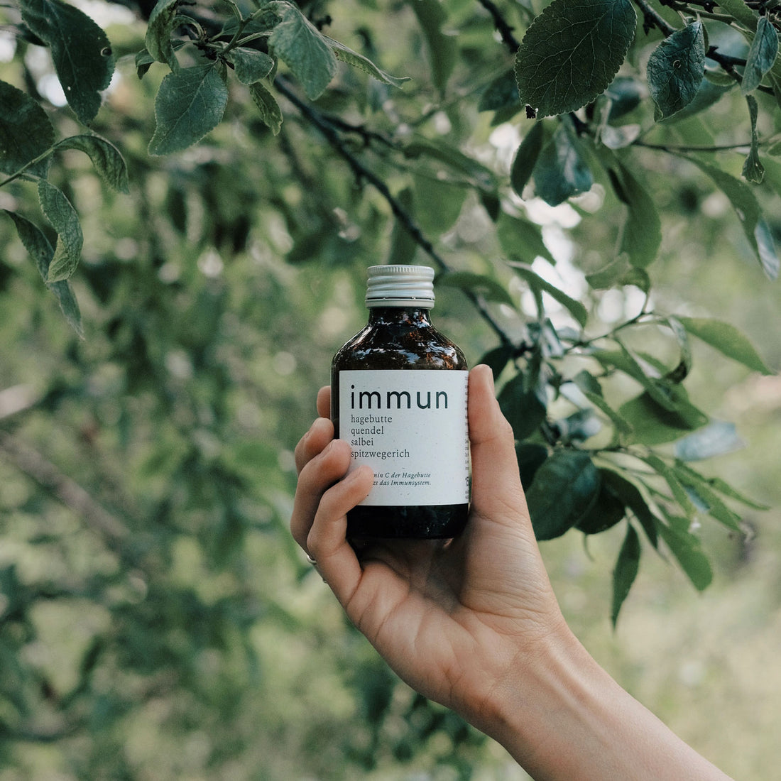Oxymel Immun | 150 ml | 15 Port.