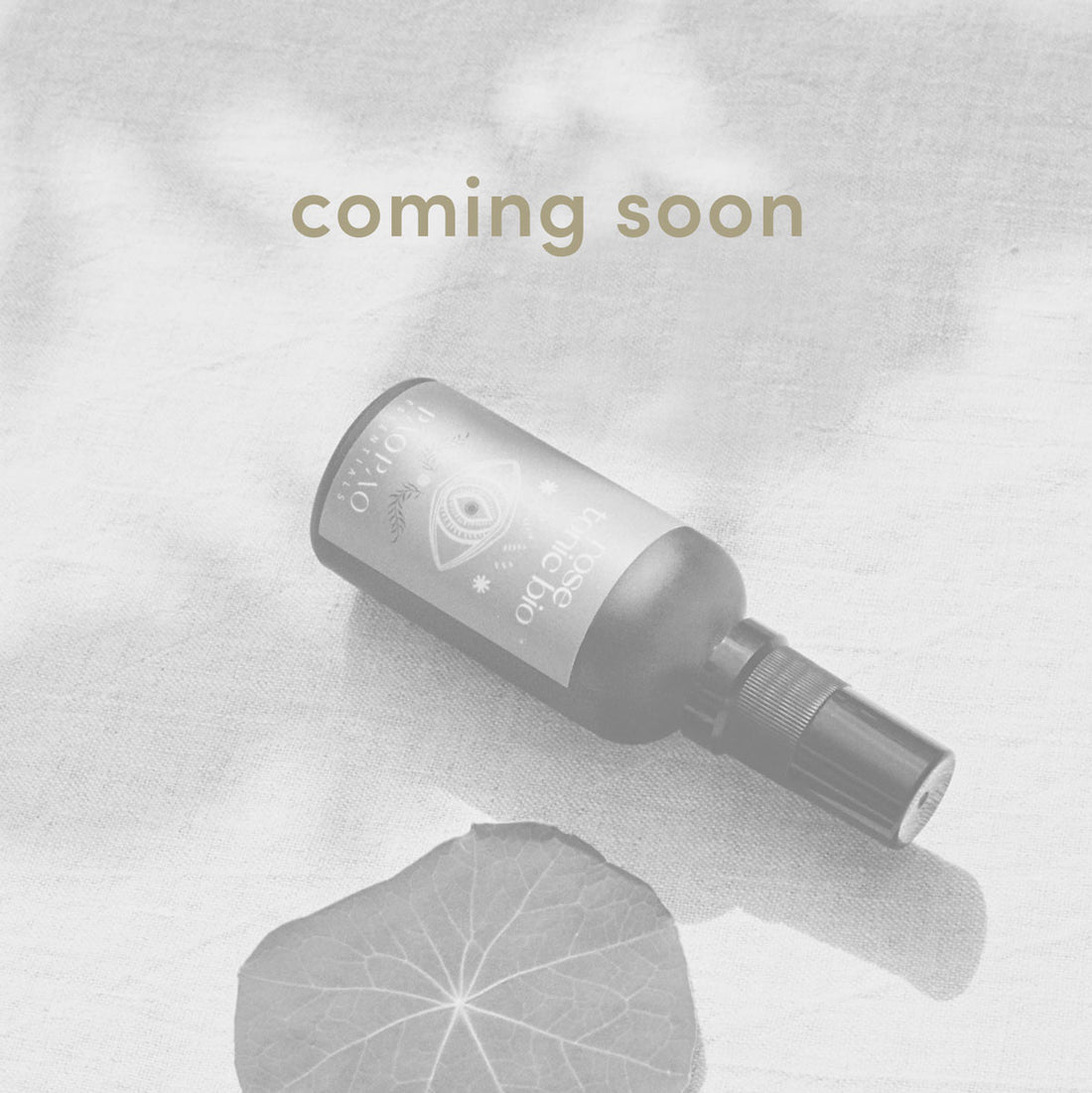 Coming soon | BIO Rosenwasser | 50 ml